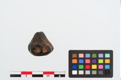 Foto von Spinnwirtel (NHMW-PRAE-023928)